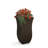 Latonia Planter Box-1636602873