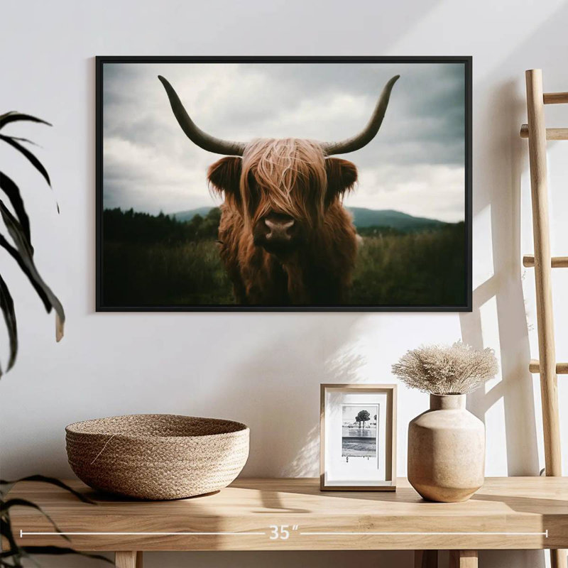 Brampt Open Field Highland Cow, H 17 po x l 25 po