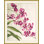 Jewel Blooms 4 Print