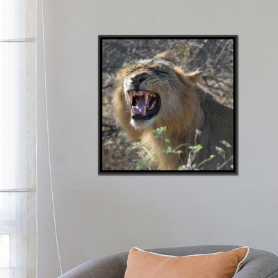 " Teeth " by Scott Bennion