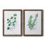 Freshly Picked I - Ensemble de 2 peintures sur toile encadrées-1667209251-1667209254