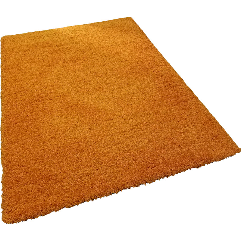 Tapis orange à poils longs Anie, Rectangle 3 pi 3 po x 4 pi 8 po