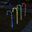 Indoor / Outdoor Luminary & Pathway Lights