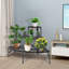 Metal Plant Stand