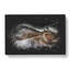 Alligator Watchful Eye - Wrapped Canvas-56648139