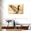 Canard colvert majestueux Brampt-107845167
