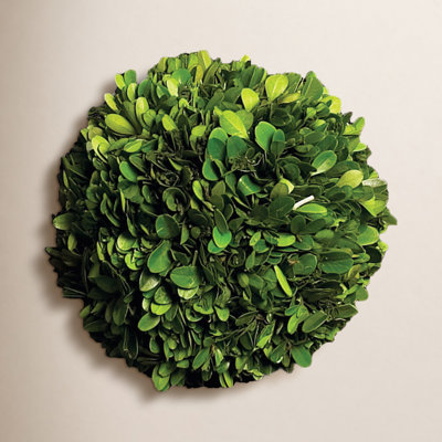Alby 6" Boxwood Topiary