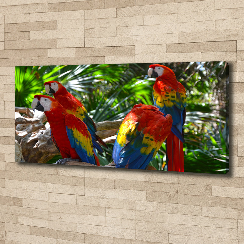 Macaw Parrots - Wrapped Canvas Print