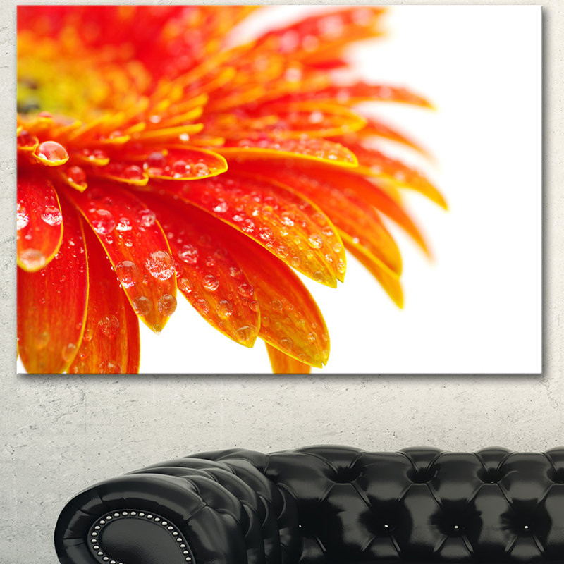 " Orange Gerbera With Raindrops ", 12" H x 20" W
