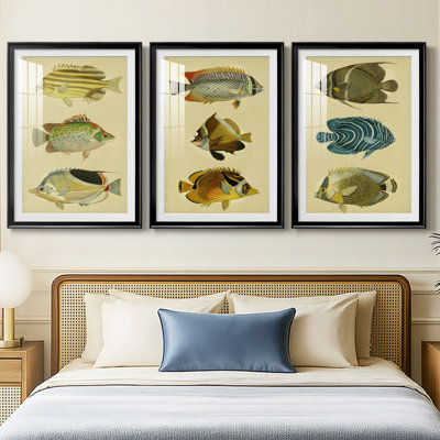 Trio de poissons tropicaux I - reproduction sur mesure encadrée de qualité supérieure - 3 pièces