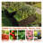 Galvanized Metal Raised Garden Beds-1283075337