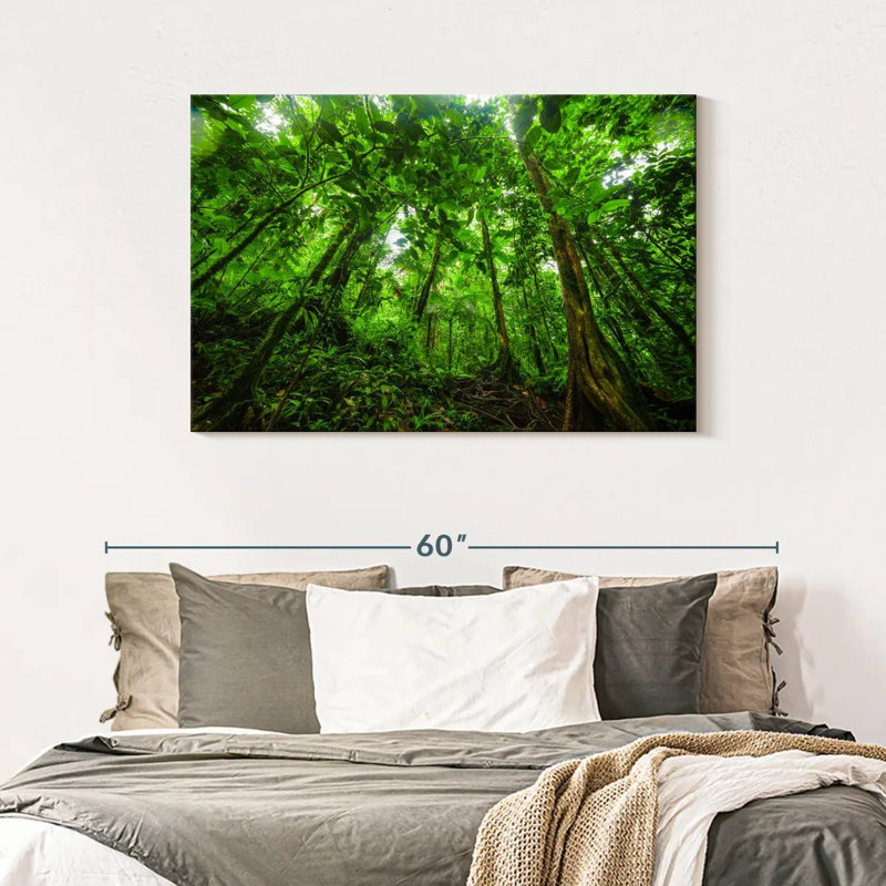 Jungle Alvord Basse-Terre, H 30 po x l 45 po