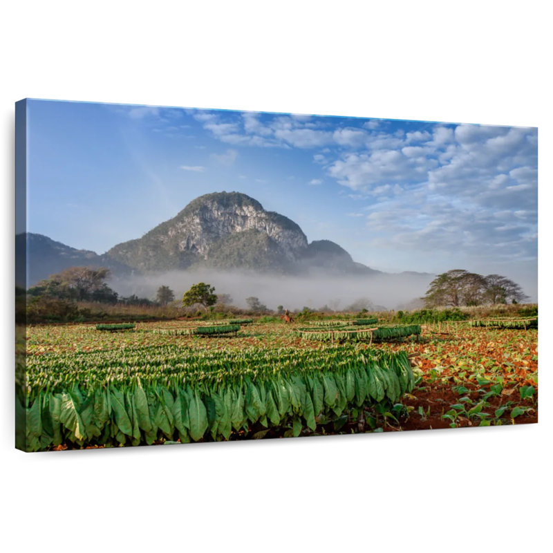 Paysage de ferme de tabac Alvord, H 16 po x l 24 po