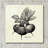" Linen Vegetable BW Sketch Beets " by Studio Mousseau-1155247728