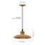 Luminaire suspendu simple à 1 lumière Rozalee-1721959390