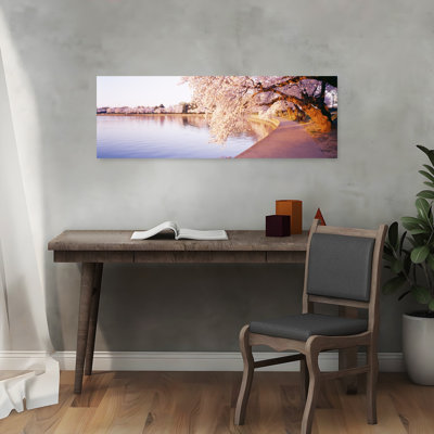Tidal Basin, Washington Dc, District Of Columbia, Usa Abstract Contemporary Cherry Tree Spring Flower Wall Art
