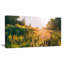 «Bloomy Glade of Wild Flowers», reproduction de photo sur toile tendue-19240338