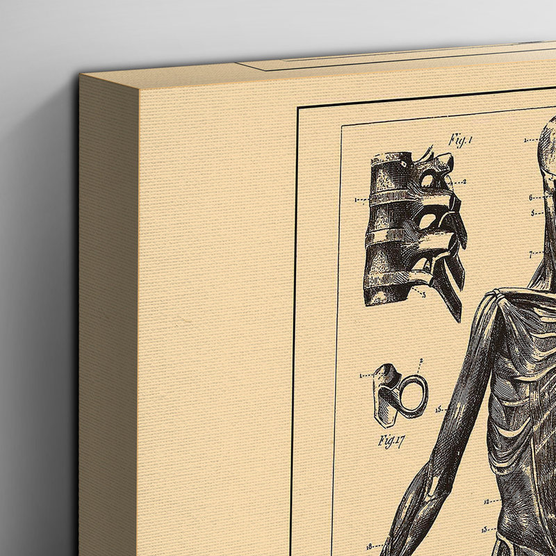 Encyclopedia Human Biology Skeleton - Wrapped Canvas, 50cm H x 76cm W