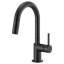 Odin® Pull-Down Prep Faucet with Arc Spout-60130960-60130965
