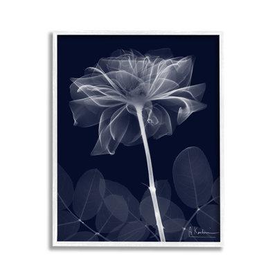 Fleur foncée, giclée, art par Albert Koetsier