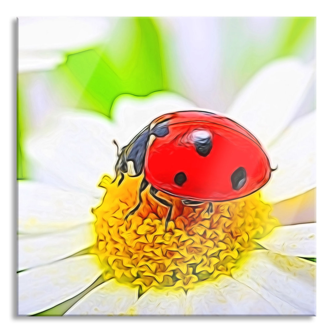 Ungerahmtes Foto auf Glas "Ladybird on a Daisy"