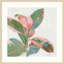 «Pink Ficus I» par Asia Jensen, reproduction d'art encadrée-2007270775-2007270772