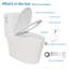 Toilette allongée une pièce à jupe de siphon 1,6 Gpf (siège inclus)