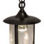 Luminaire suspendu d'extérieur H 60 po Leanna