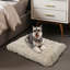 Dog Bed-1883169300-1883169295