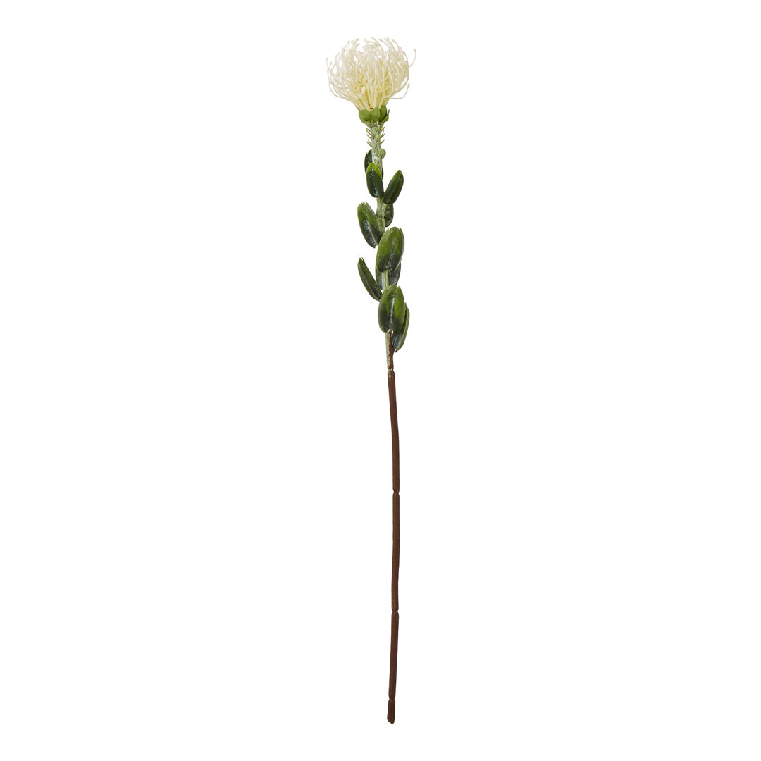 Pincushion Protea Spray