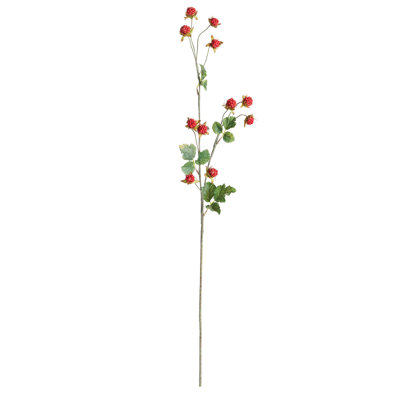 Wild Blackberry 31-Inch Stem