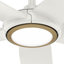 Ventilateur de plafond à 5 pales homologué ENERGY STAR® Wi-Fi Zentech Hunter avec ensemble d'éclairage DEL et télécommande de poche 44 po Hunter-733585500-733585503