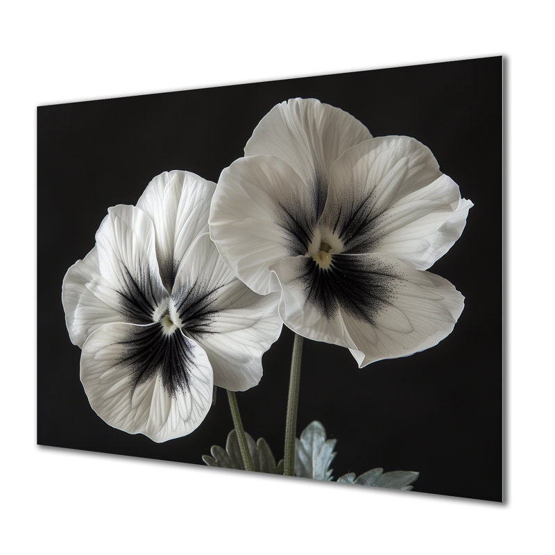 Beauté blanche botanique blanche Pansies II - Pensées Wall Art Living Room, H 12 po x l 20 po, Sans cadre