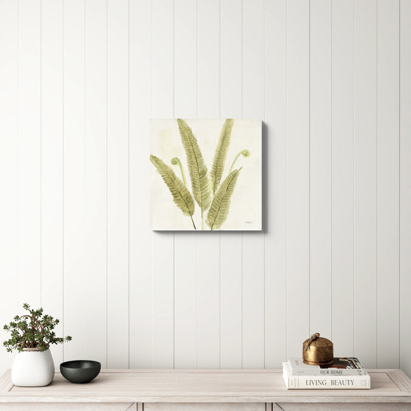 «Forest Ferns II» par Albena Hristova, reproduction d'art sur toile tendue, H 20 po x l 20 po