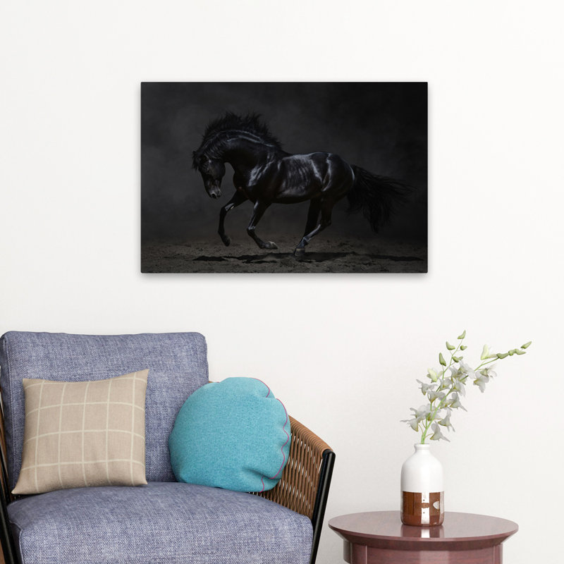 Onyx - photographie, animaux, chevaux, art, H 16 po x l 24 po