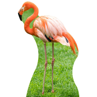 Flamingo Cardboard Standup