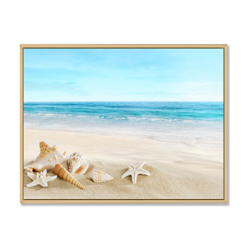 Paysage avec coquillages sur une plage tropicale - photographie sur toile, Cadre flottant en érable, H 12 po x l 20 po
