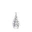 Spruce Evergreen-130438601