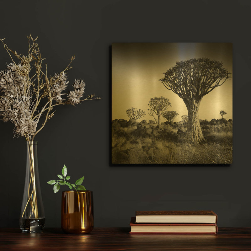 « Arbres à carquois de Namibie » par Nina Papiorek, tableau mural en métal doré, 30,5 x 30,5 cm, 12 po x 12 po