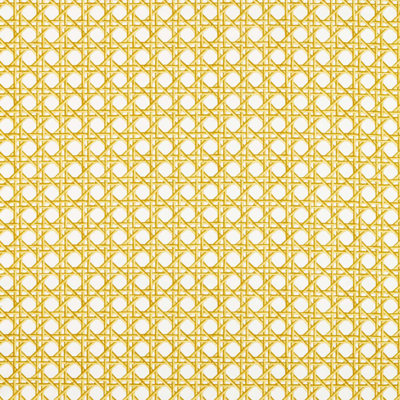 Lovelace Fabric