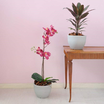 Grifaldo Pot Planter