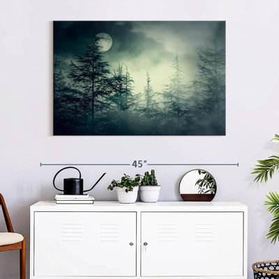 Gloomy Dark Forest