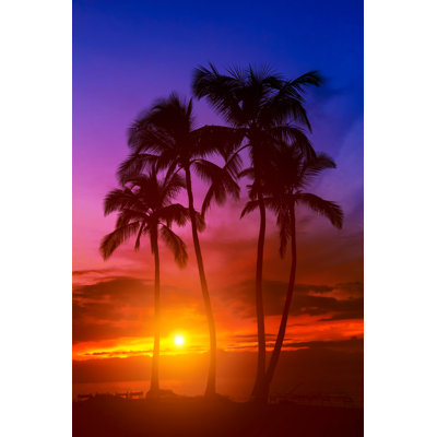 " Tropical Beach Sunset " by Mariuszblach