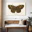 Papillon antique II-107923789