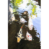 Libert? II Print by Karyn Millet