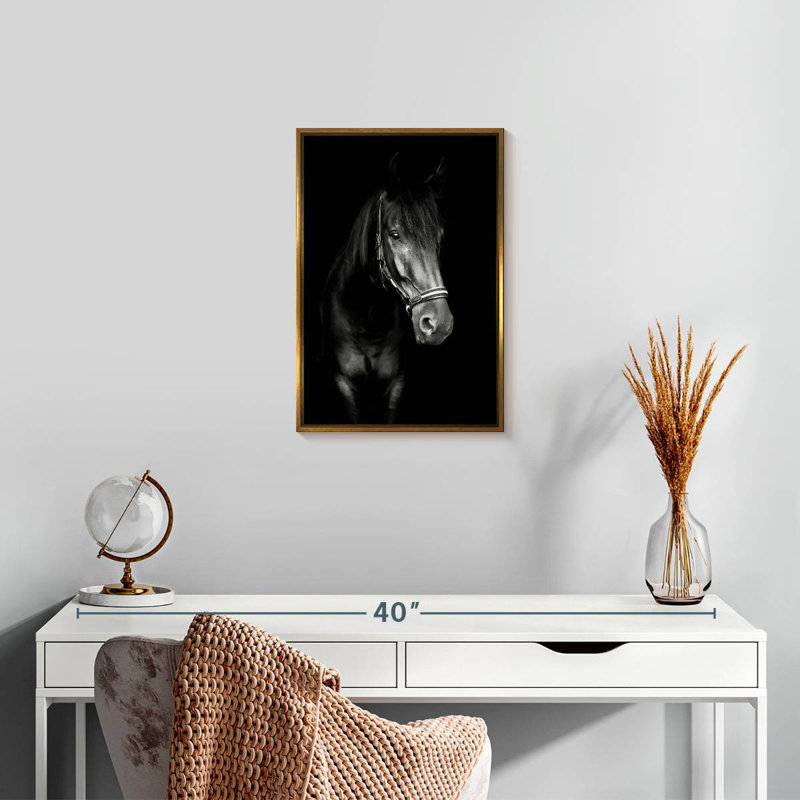 Cheval noir dans le noir, Cadre flottant doré, 13 po x 19 po
