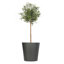 Vrej Fibreglass Planter-14486253-27789006