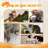 513.08cm H Cat Tree-89834152