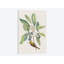 «Études», impression sur toile-30008380-72449769-72449775