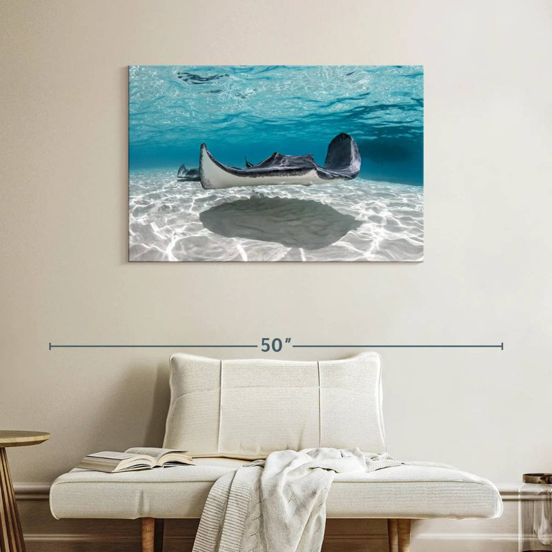 Crowle Cayman Palms Stingray, H 26 po x l 39 po